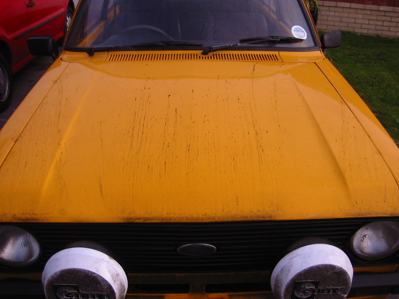 Picture 031